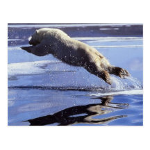 Postkarte der Eisbär-Tier-Reihen-#13
