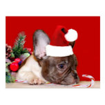 Postkarte der Weihnachtsfranzösischen Bulldogge