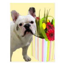 Postkarte französischer Bulldogge Ostern