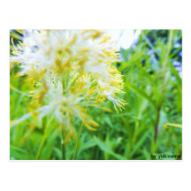 Postkarte - Gelbe Blume