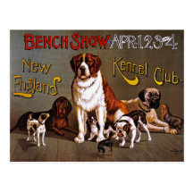 Postkarte: Hundeshow: Bank-Show 1890
