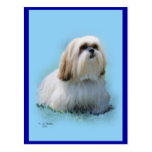 Postkarte Lhasas Apso