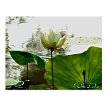 Postkarte - Lily-002