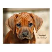 Postkarte "Ohne Dich ist alles doof! "
