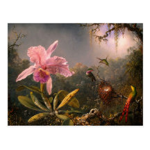 Postkarte: Orchidee und Kolibris