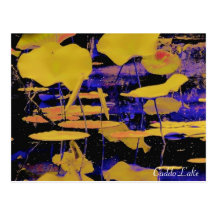 Postkarte - Pop-Kunst Lilypads001