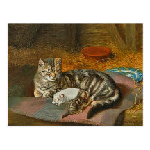 Postkarte von Mutter Cat u. Welpe: "Der unerwartet