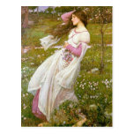 Postkarte: Windflowers - JohnWaterhouse