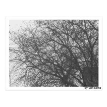 Postkarte - Winterbaum
