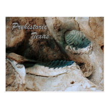 Prähistorische Texas-Postkarte