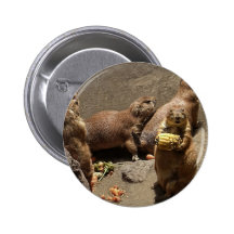 Präriehunde, die Abendessen 1 essen Buttons
