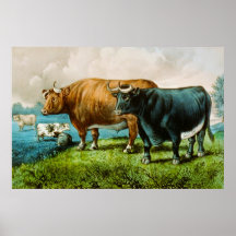 Prize fettes Vieh Plakat