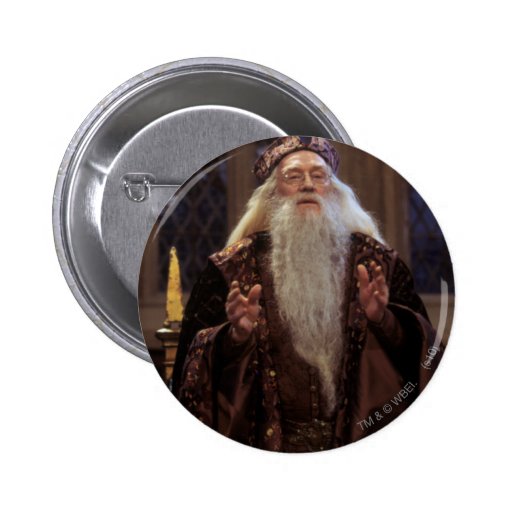 Professor Dumbledore Anstecknadel