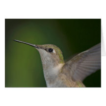 Profil Grußkarten