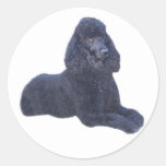 Pudel-Aufkleber