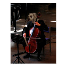 Pudel-Cellist Postkarte