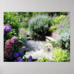 Pudel-Garten-Druck Plakat
