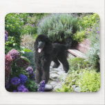 Pudel-Garten Mousepad