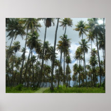 Puerto Rico Poster