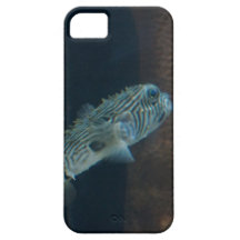 Puffer-Fisch-Trugbild Schutzhülle Fürs iPhone 5