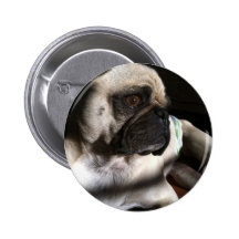 Puggy für Ihre Gedanken… Buttons
