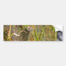 Pukeko und Küken in den Schilfen Auto Sticker