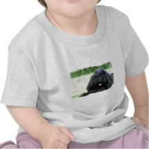 puli-1.jpg tshirt