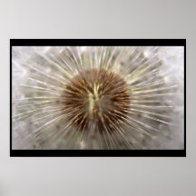 Pulsar Poster