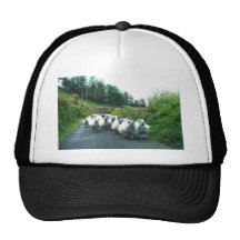 Punkschafe auf der Beara Halbinsel Irland Baseballcaps