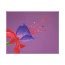 purple flower fuchsia galerie gefaltete leinwand