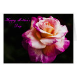 Purple Mother's Day Card