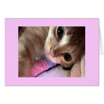 PURR-C BLAUE AUGEN Gruß-Karte