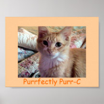PURRFECTLY PURR-C Plakat