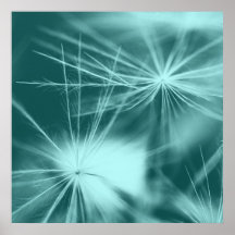 Pusteblume Plakat
