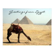 Pyramidekamelgrüße Postkarte