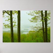 Quabbin Tal-Frühlingsregen Posterdrucke