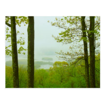 Quabbin Tal-Frühlingsregen Postkarte