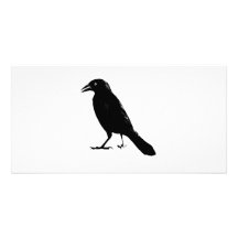 Rabe Individuelle Photo Karte