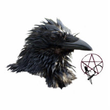 Rabe Wiccan Pentagramm-(sculpted) Magnet Foto Ausschnitt