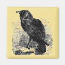 RabeCorvus Kühlschrankmagnete