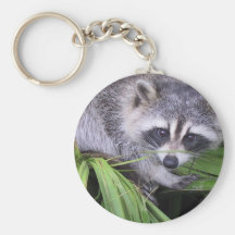 Raccoon in den Pflanzen Schlüsselanhänger