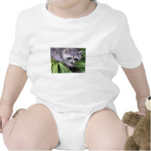 Raccoon in den Pflanzen Strampler