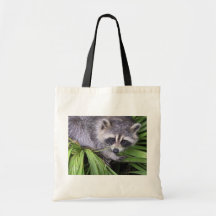 Raccoon in den Pflanzen Taschen