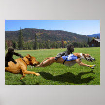 Racing Dogs Print