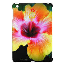 Rainbow Brite iPad Mini Covers