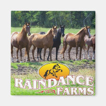 Raindance bewirtschaftet Magneten