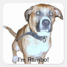 Rambo Hundaufkleber