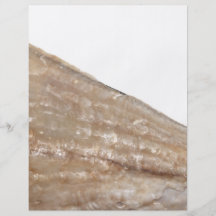Rand von Seashell. Nahes hohes Bild Individuelle Flyer