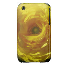 Ranunculus iPhone 3gs Fall iPhone 3 Hülle