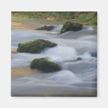 Rapids Kühlschrankmagnet